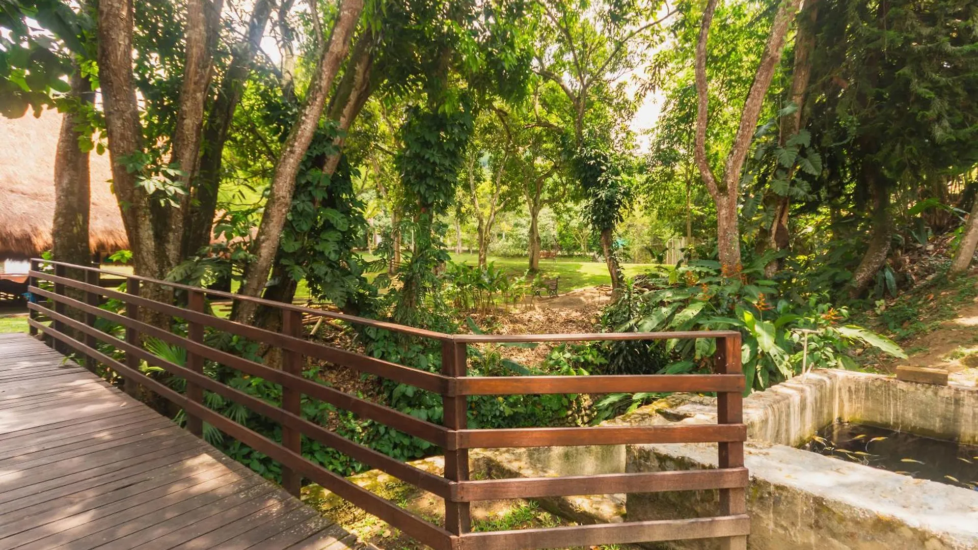 Hotel La Selva San Jeronimo