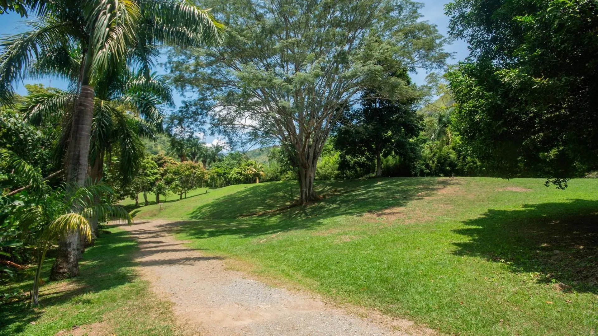 Hotel La Selva San Jeronimo